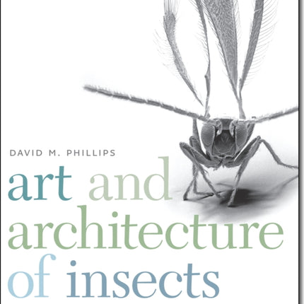 Art and Architecture of Insects