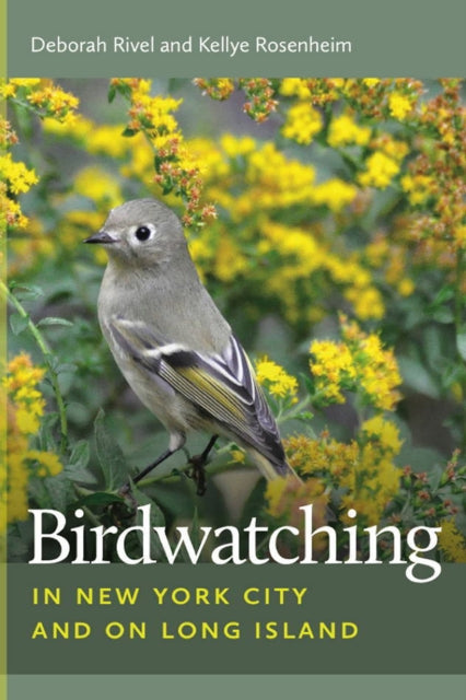 Birdwatching in New York City and on Long Island