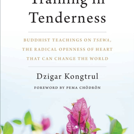 Training in Tenderness: Buddhist Teachings on Tsewa, the Radical Openness of Heart That Can Change the World