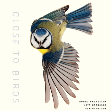 Close to Birds: An Intimate Look at Our Feathered Friends