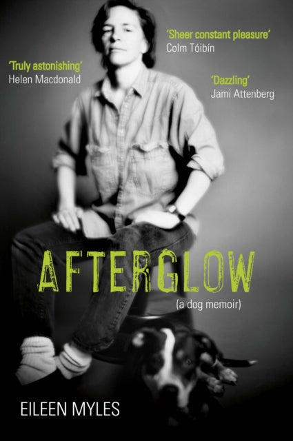 Afterglow: A Dog Memoir