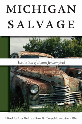 Michigan Salvage: The Fiction of Bonnie Jo
