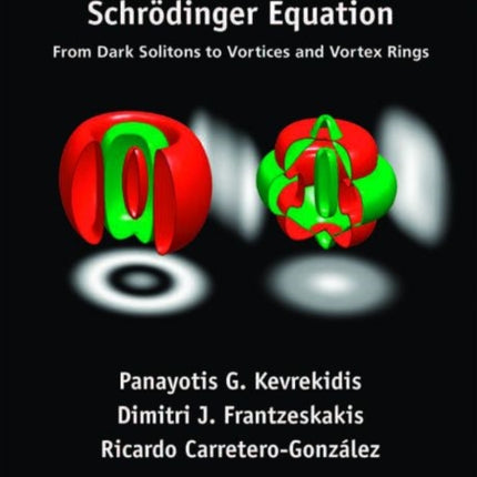 The Defocusing Nonlinear Schrödinger Equation