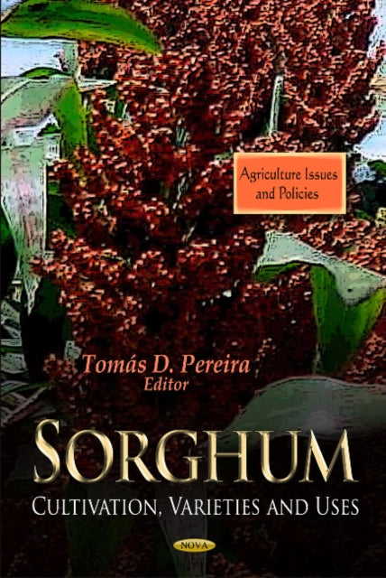 Sorghum: Cultivation, Varieties & Uses