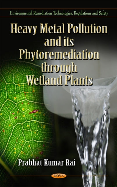 Heavy Metal Pollution & its Phytoremediation Through Wetland Plants