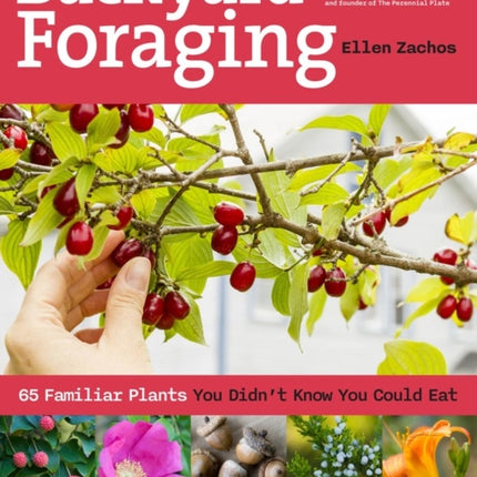 Backyard Foraging: 65 Familiar Plants You Didn’t Know You Could Eat