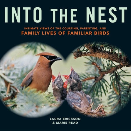 Into the Nest: Intimate Views of the Courting, Parenting, and Family Lives of Familiar Birds