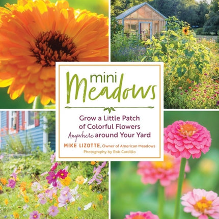 Mini Meadows: Grow a Little Patch of Colorful Flowers Anywhere around Your Yard