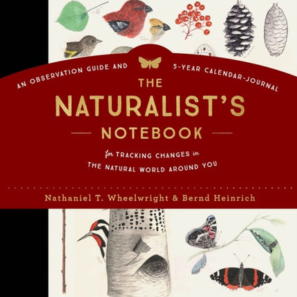 The Naturalist's Notebook: An Observation Guide and 5-Year Calendar-Journal for Tracking Changes in the Natural World around You