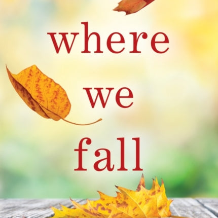 Where We Fall: A Novel