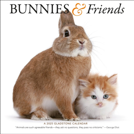 Bunnies  Friends Square Wall Calendar 2025