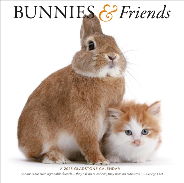 Bunnies  Friends Square Wall Calendar 2025