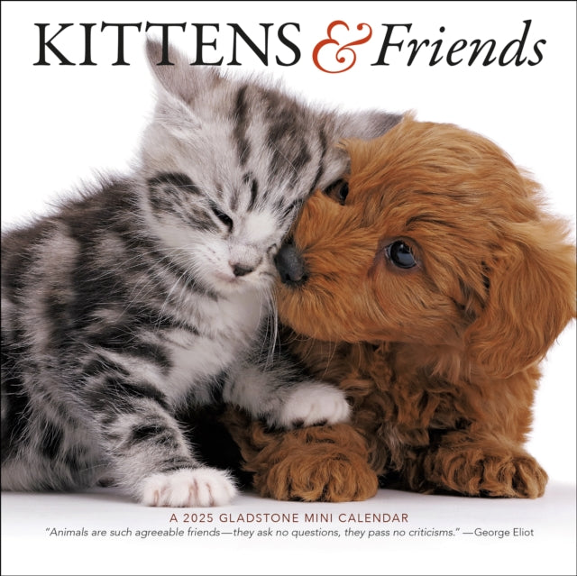 Kittens  Friends Mini Wall Calendar 2025