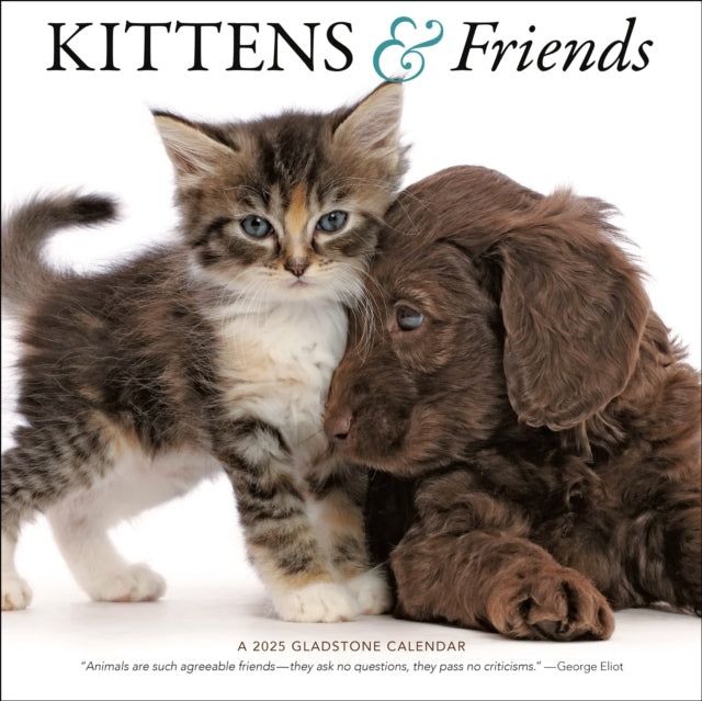 Kittens  Friends Square Wall Calendar 2025