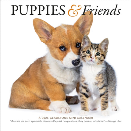 Puppies  Friends Mini Wall Calendar 2025