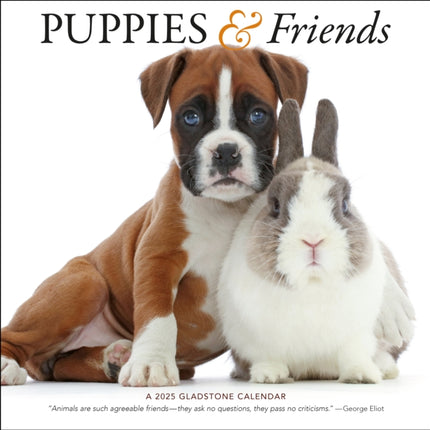 Puppies  Friends Square Wall Calendar 2025