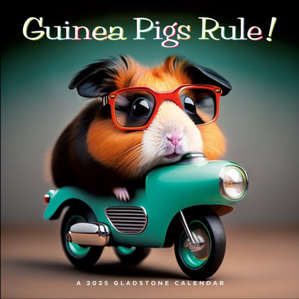 Guinea Pigs Rule Square Wall Calendar 2025