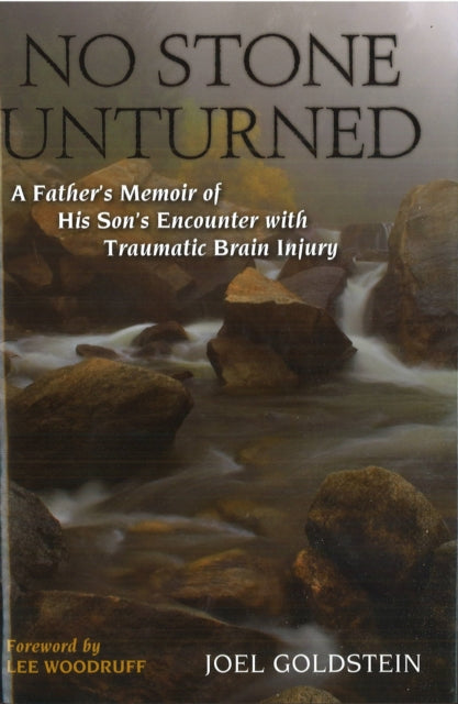 No Stone Unturned  A Fathers Memoir of His Sons Encounter with Traumatic Brain Injury