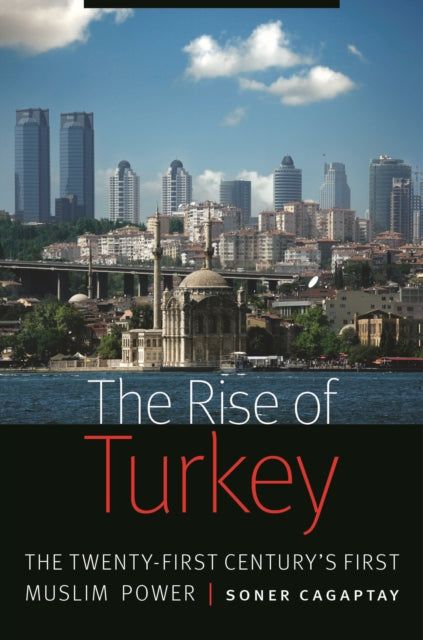 The Rise of Turkey