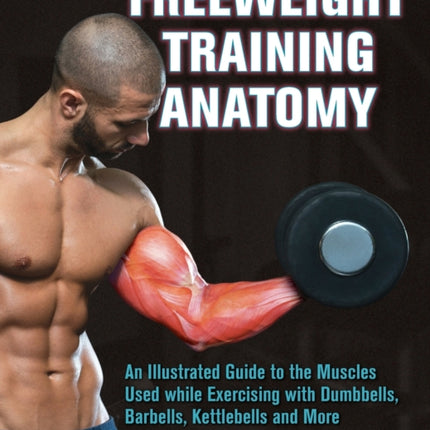 Freeweight Training Anatomy