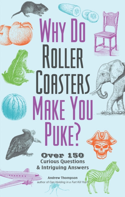 Why Do Roller Coasters Make You Puke