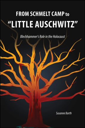 From Schmelt Camp to Little Auschwitz  Blechhammers Role in the Holocaust