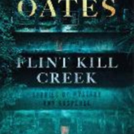 Flint Kill Creek