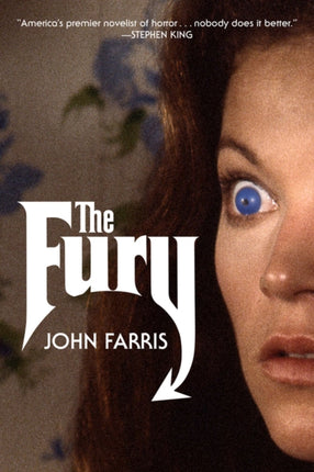 The Fury: A Novel