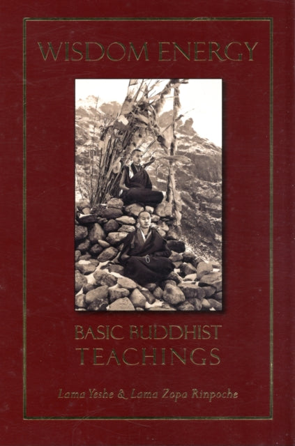 Wisdom Energy: Basic Buddhist Teachings