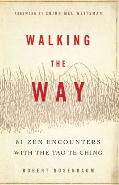 Walking the Way: 81 ZEN Encounters with the Tao Te Ching