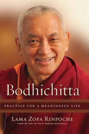 Bodhichitta: Practice for a Meaningful Life