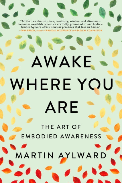 Awake Where You Are: The Art of Embodied Awareness