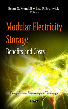 Modular Electricity Storage: Benefits & Costs