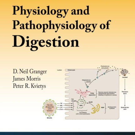 Physiology and Pathophysiology of Digestion