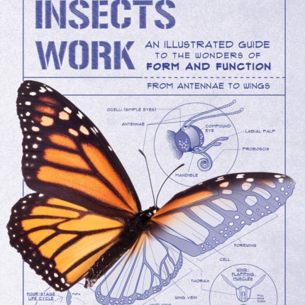 How Insects Work: An Illustrated Guide to the Wonders of Form and Function - From Antennae to Wings