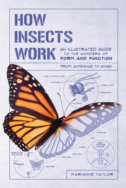 How Insects Work: An Illustrated Guide to the Wonders of Form and Function - From Antennae to Wings