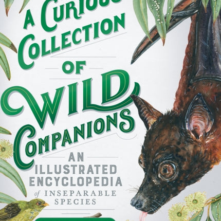 A Curious Collection of Wild Companions: An Illustrated Encyclopedia of Inseparable Species