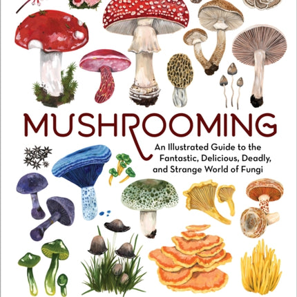 Mushrooming: An Illustrated Guide to the