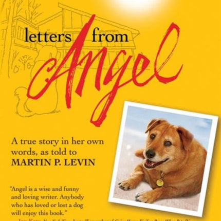 Letters from Angel: A True Story In her Own Words