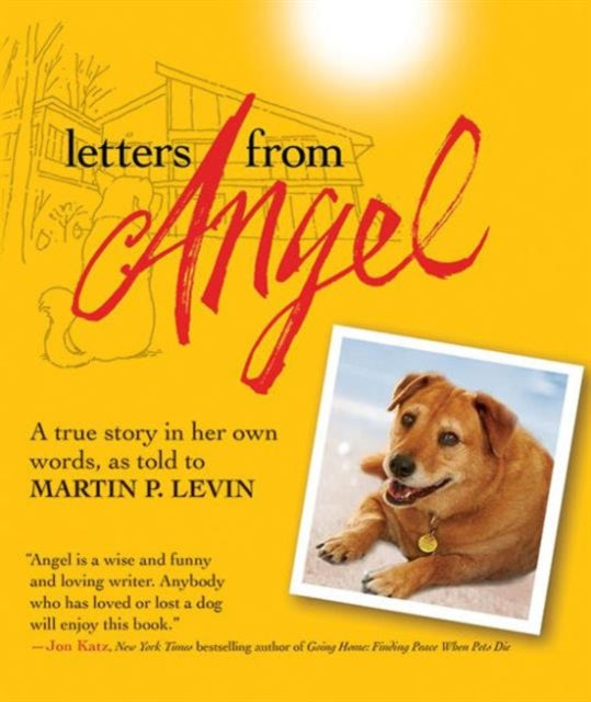 Letters from Angel: A True Story In her Own Words