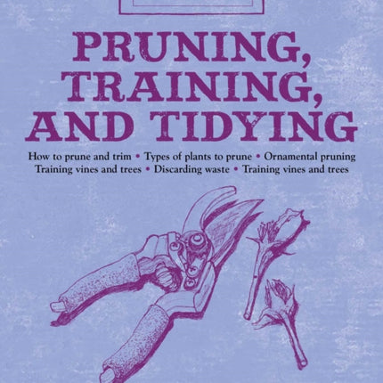 Pruning, Training, and Tidying: Bob's Basics