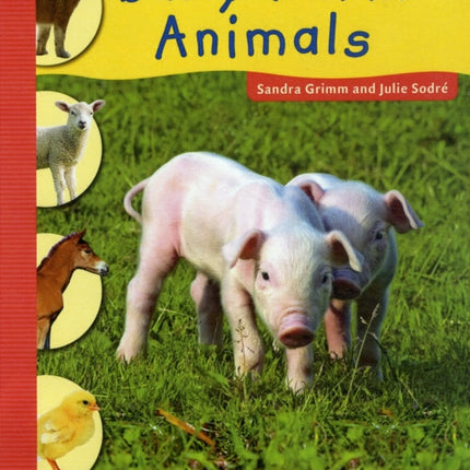Baby Farm Animals