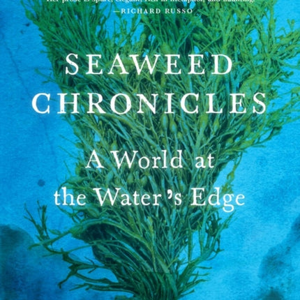 Seaweed Chronicles: A World at the Water’s Edge