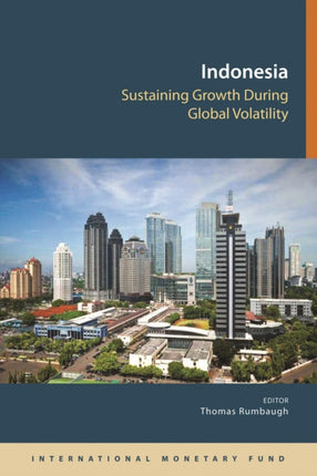 Indonesia: sustaining growth during global