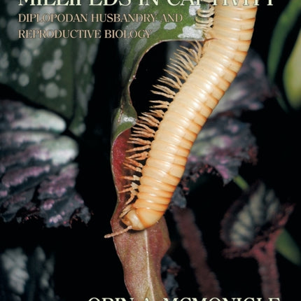 Millipeds in Captivity: Diplopodan Husbandry and Reproductive Biology (Millipede Husbandry)