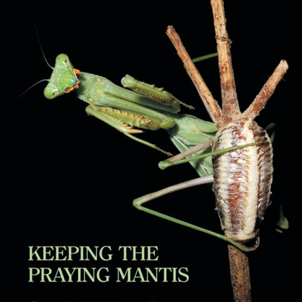 Keeping the Praying Mantis: Mantodean Captive Biology, Reproduction, and Husbandry