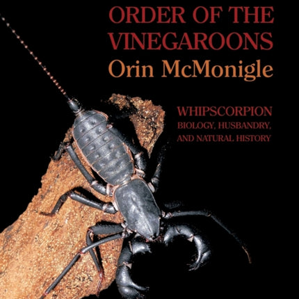 Forgotten Order of the Vinegaroons: Whipscorpion Biology, Husbandry, and Natural History