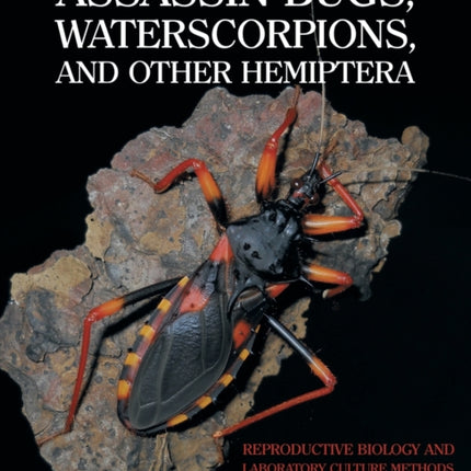 Assassin Bugs, Waterscorpions, and Other Hemiptera: Reproductive Biology and Laboratory Culture Methods