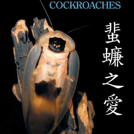 For the Love of Cockroaches: Husbandry, Biology, and History of Pet and Feeder Blattodea