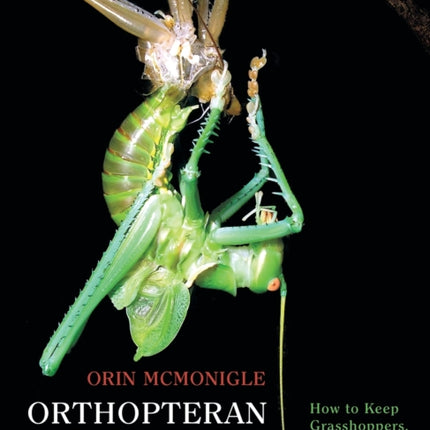Orthopteran Zoology: How to Keep Grasshoppers, Crickets, and Katydids